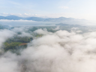 Aerial view tropical rainforest morning sunrise with fog