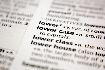 Fototapeta premium Word or phrase lower case in a dictionary.