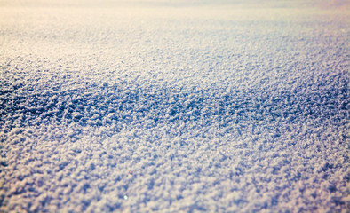 fresh snow surface
