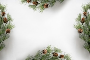 Fir branches with acorns making a frame on a white surface - obrazy, fototapety, plakaty