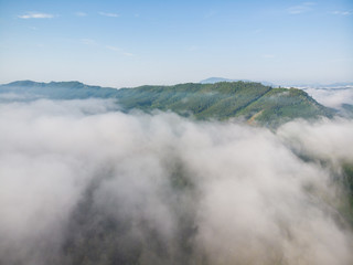 Aerial view tropical rainforest morning sunrise with fog