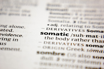 Word or phrase somatic in a dictionary.