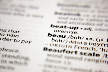 Word or phrase beau in a dictionary.