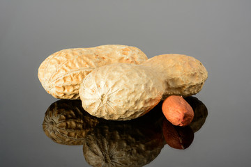 Peanut on glossy grey surface with reflection. Two ripe whole real peanut with kernel macro close-up, high resolution full depth of field.