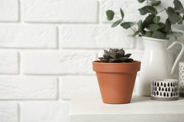 Beautiful succulent on wooden table near brick wall, space for text. Home plant