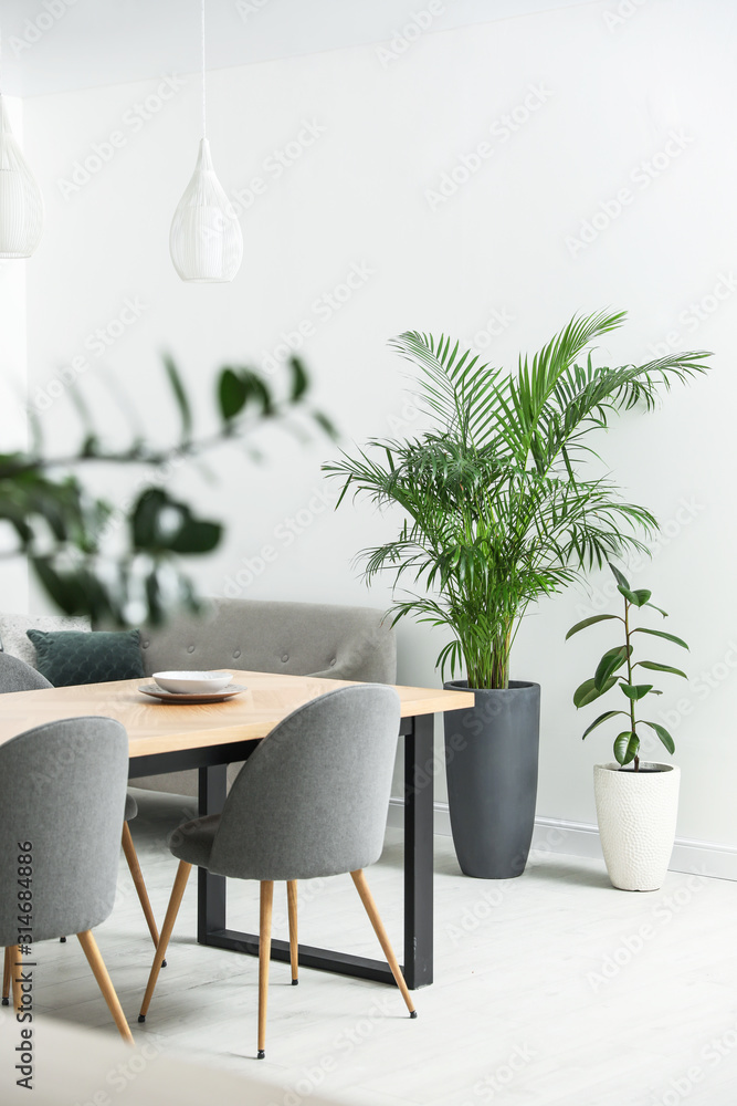 Poster Beautiful potted plants in modern living room