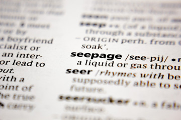 Word or phrase seepage in a dictionary.