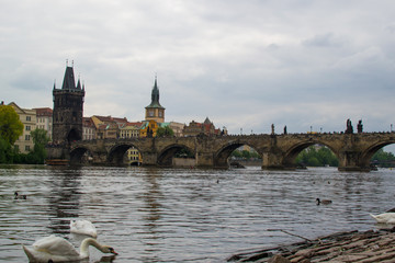 Obraz premium Vltava river flowing through Prague with Charles Bridge (Karlův most) and Old Town Bridge Tower (Staroměstská mostecká věž) at the background (Czech Republic)