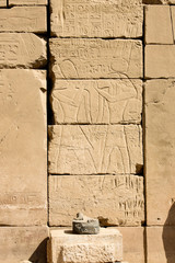 Karnak temple complex in Luxor, Egypt. Ancient bas relief with hieroglyphs, pharaoh and falcon-god...