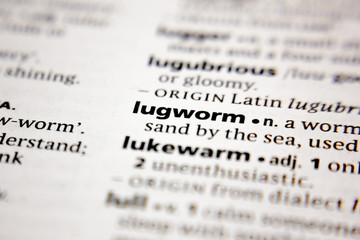 Word or phrase lugworm in a dictionary.