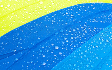 multicolored umbrella