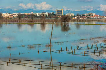 Naklejka premium The devastating effect of a flood 