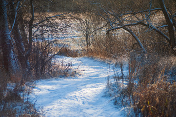 Winter Russia landscape with roads and trees