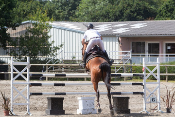 Man and bay horse jumping a fence