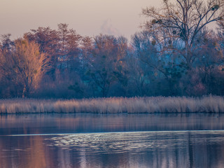 Der Aalkistensee bei Maulbronn im Winter