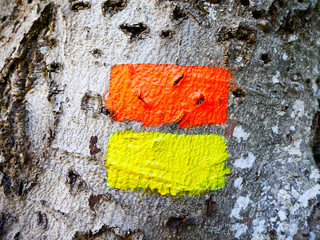 Sendero marca