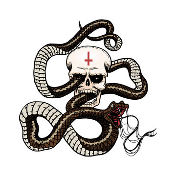Snake with a skull in Vintage style. Serpent cobra or python or poisonous viper. Engraved hand drawn old reptile sketch for Tattoo. Anaconda for sticker or logo or t-shirts.