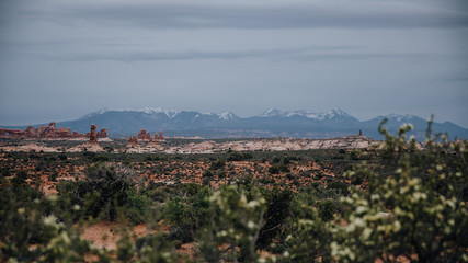 Froid hivernal à Arches National Park