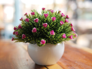 Pink flower model in a small pot