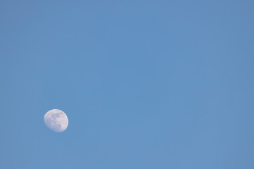 Waxing Gibbous Moon during the day on a bright blue sky