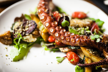 Octopus salad served on a plate in restaurant