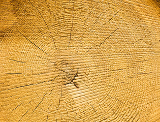 structure natural pine