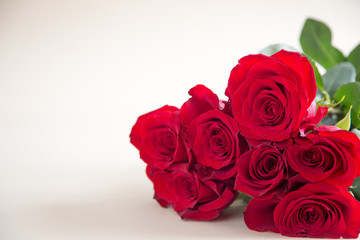 Red roses on white background. Valentines Day background, wedding day