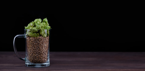 Glass Mug with malt and fresh green of hops like a foam stands on dark wooden table. Black background. Empty space for text