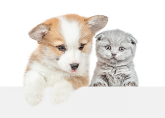 Corgi puppy and baby kitten looks above empty white banner. isolated on white background