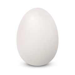 Chicken egg on a white background