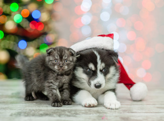 Fototapeta na wymiar Husky puppy wearing a red santa hat lies withtiny kitten on a background of the Christmas tree
