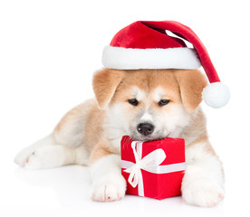 Akita inu puppy wearing a red santa hat lying with gift box. isolated on white background