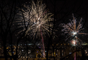 Naklejka premium Colorful fireworks over the city.