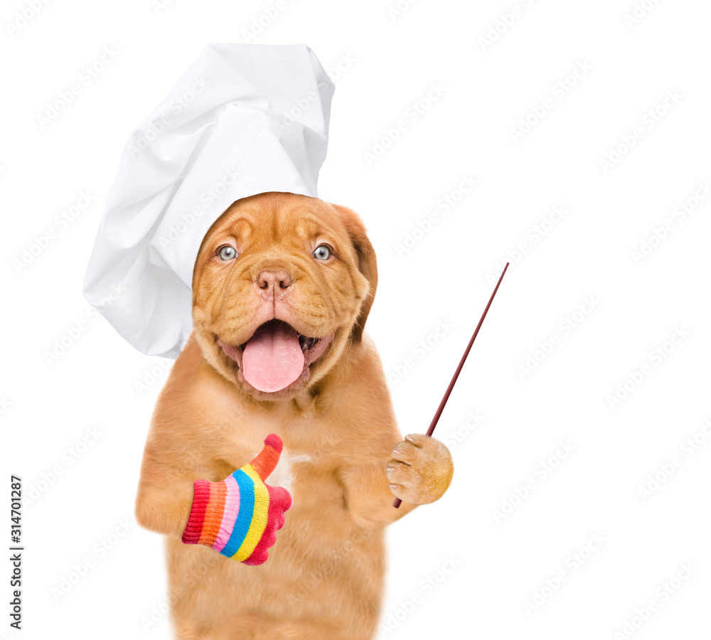 Poster happy puppy wearing a chef's hat points away on empty space and shows thumbs up gesture. isolated on