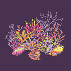 Fototapeta na wymiar Sea life natural greeting card, underwater vector illustration, fish, shells and seaweed