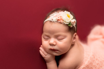 the first photo session of a newborn girl. newborn child. baby on a maroon background