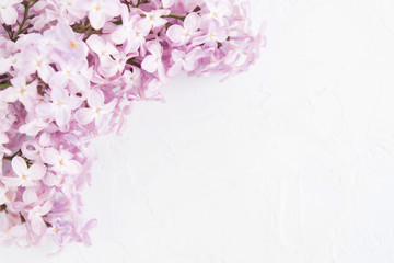 Flatlay with beautiful spring lilac flowers over white concrete background. Floral template for spa