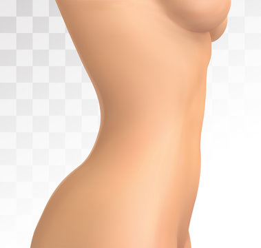 vector female body on a white background. photo realistic mesh