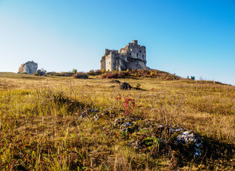 Mirow Castle Ruins, Trail of the Eagles' Nests, Krakow-Czestochowa Upland or Polish Jurassic Highland, Silesian Voivodeship, Poland