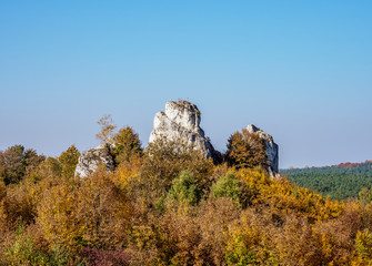 Rocks in Lutowiec, Krakow-Czestochowa Upland or Polish Jurassic Highland, Silesian Voivodeship, Poland