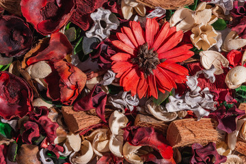 Dry field flowers. Top view- flat still life