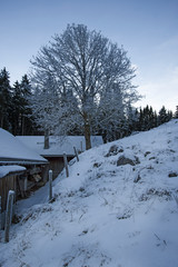 Voralpsee - Grabs - Schweiz - Winterlandschaft
