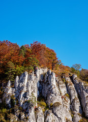 The Glove Rock, Ojcow National Park, Krakow-Czestochowa Upland or Polish Jurassic Highland, Lesser Poland Voivodeship, Poland