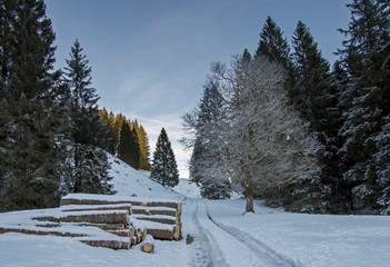 Voralpsee - Grabs - Schweiz - Winterlandschaft