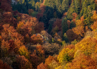 Obraz premium Autumn in Ojcow National Park, Krakow-Czestochowa Upland or Polish Jurassic Highland, Lesser Poland Voivodeship, Poland