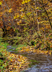 Saspowka River and Autumn in Ojcow National Park, Krakow-Czestochowa Upland or Polish Jurassic Highland, Lesser Poland Voivodeship, Poland