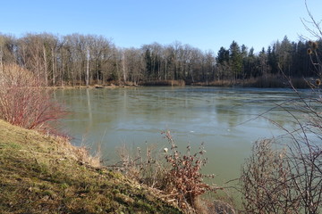 Wald - Landschaft - Bäume - Urlaub
