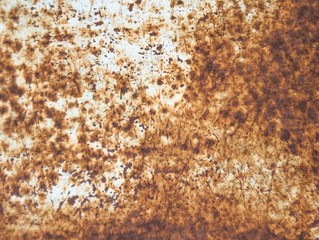 Rust metal background, rusted metal texture, rustic and wallpaper.