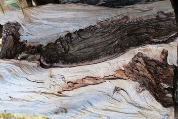 Linee nel legno spaccato