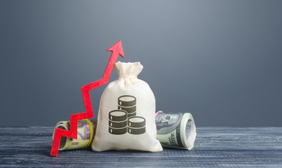 Money bag, cash bundle rolls and red up arrow. High profits, superprofits. Investments. Wealth prosperity. Revenue profit rise. Favorable deposits. Cheap loans, economic growth business development.